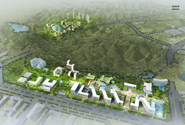 悟空网页版入口