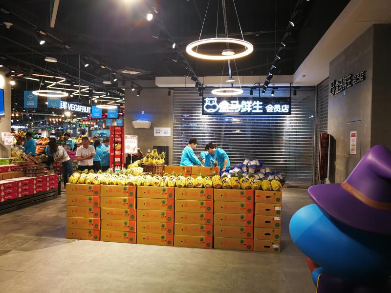 悟空网页版入口